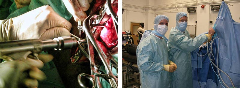 Surgery in Horses